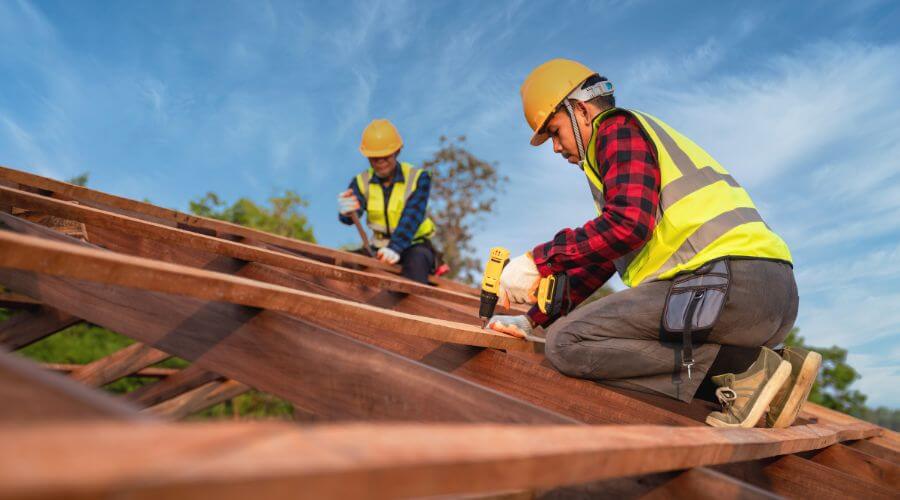 Professional gutter cleaning in Long Point, IL